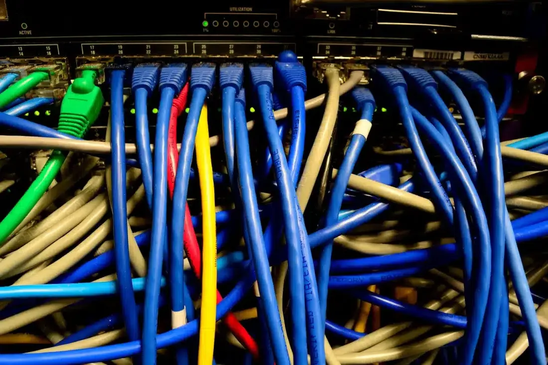 Google изсича 300 хектара финландска гора за изграждането на център за данни и регулаторните органи искат обяснения